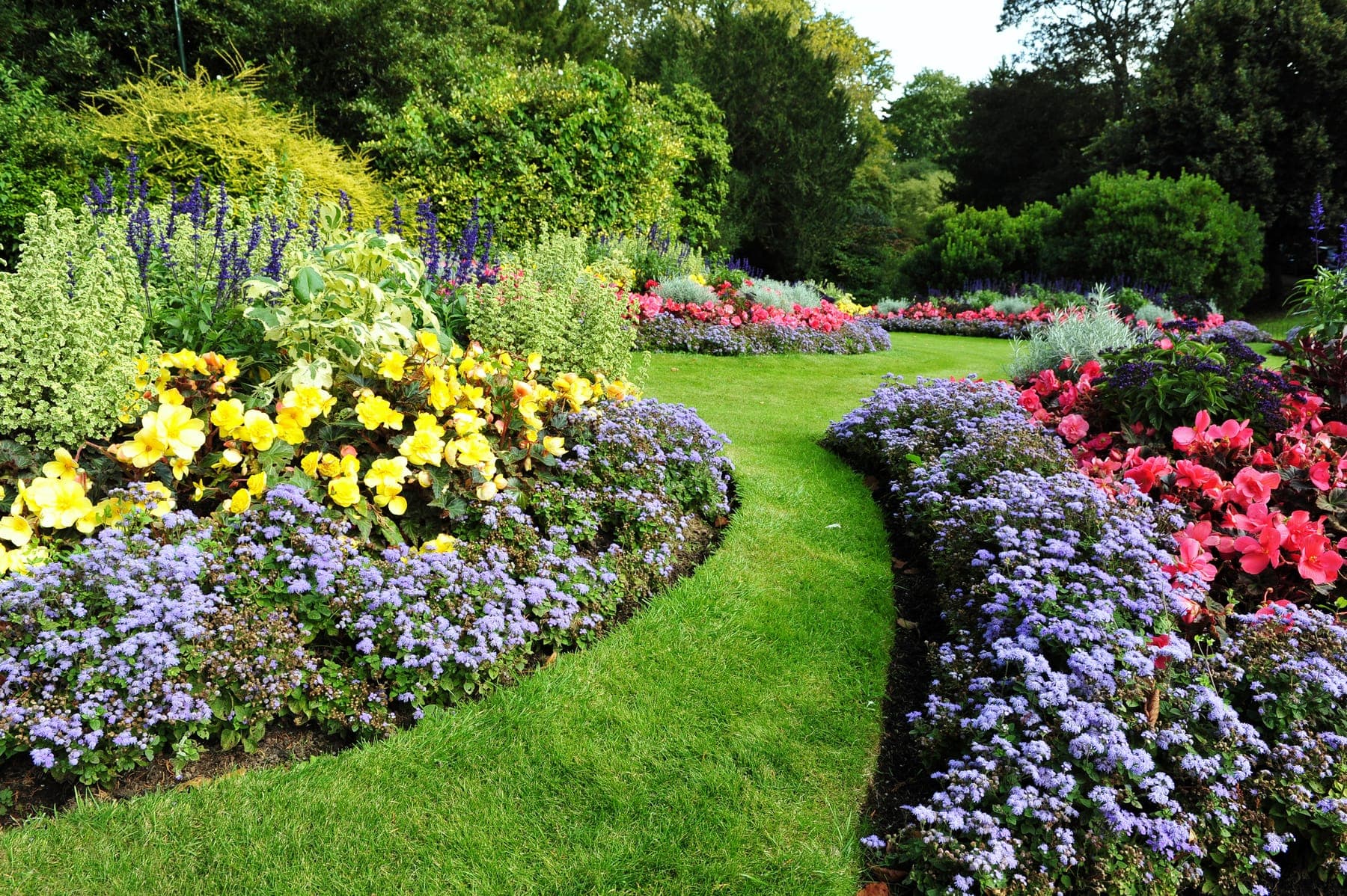 Lush perennial garden beds along a curved lawn path