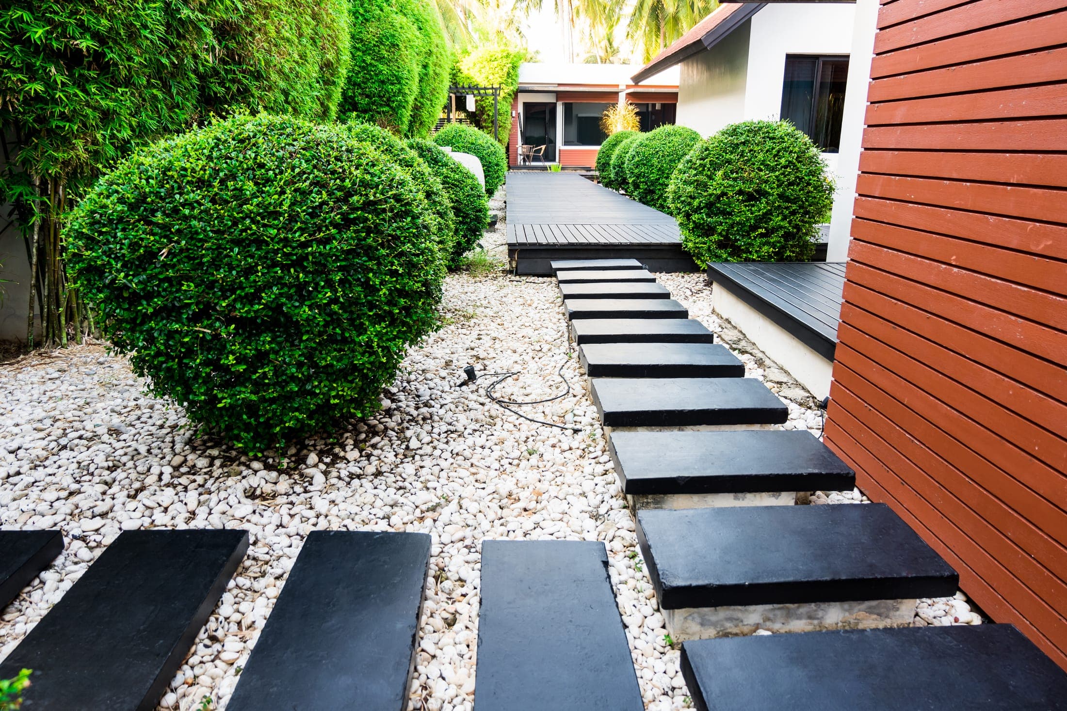 Modern garden with sculpted shrubs and dark stone steps