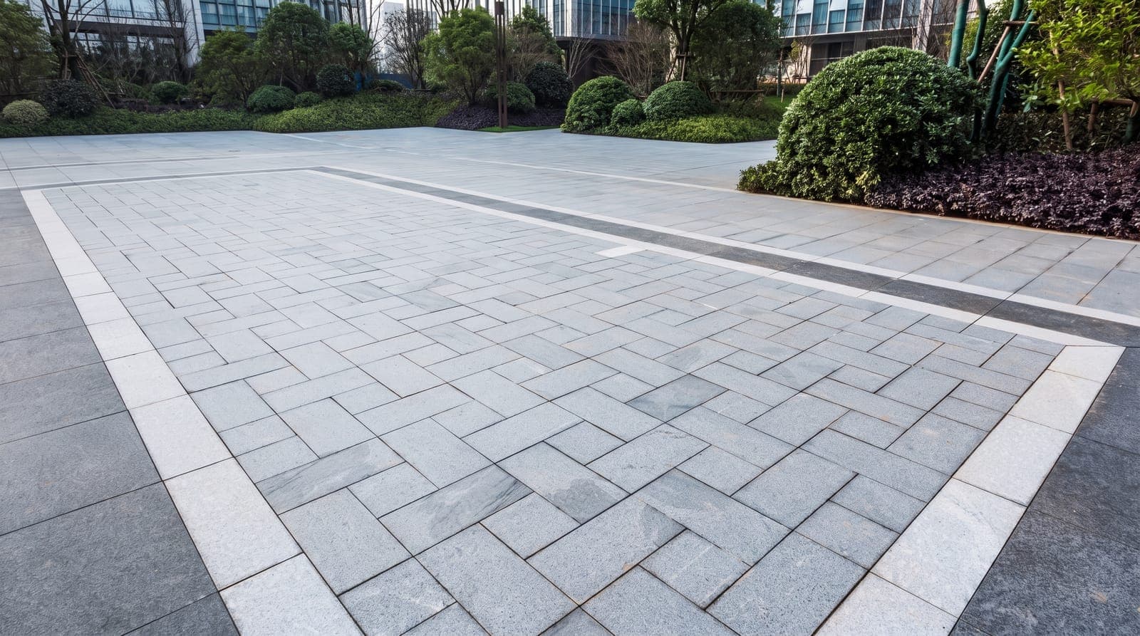 Modern grey paver courtyard with charcoal banding beside sculpted shrubs